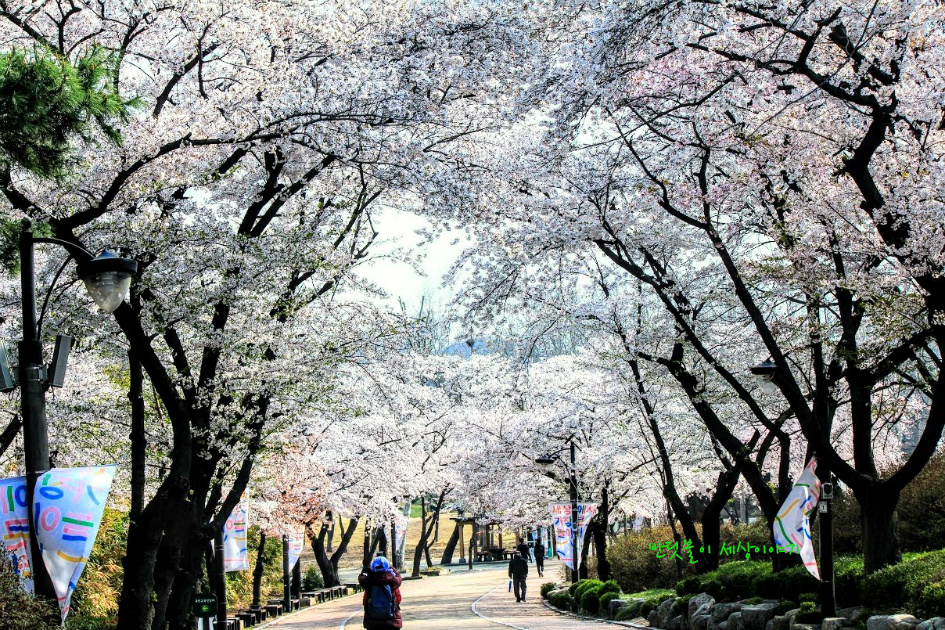 이름없는 할머니 기부천사