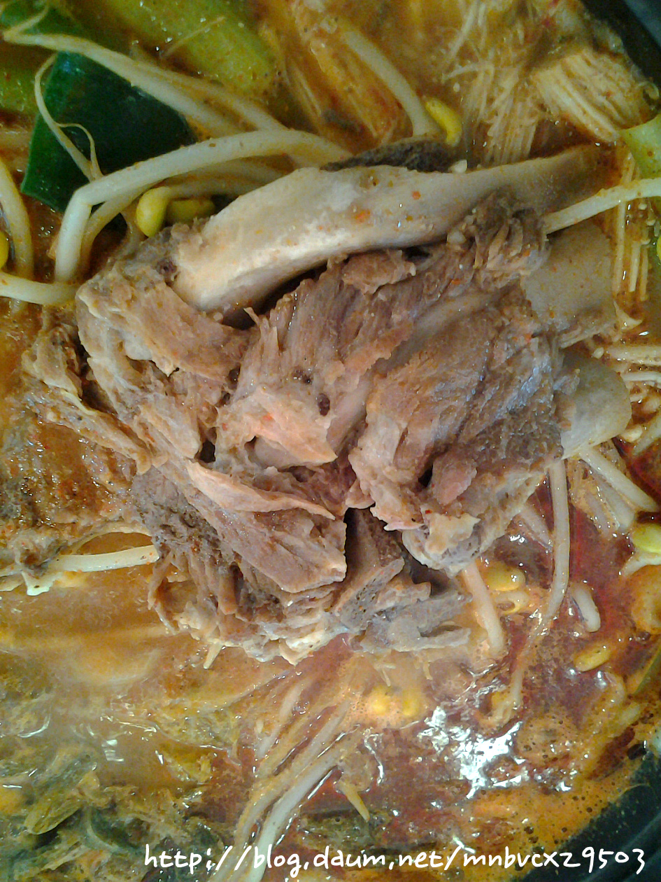 2019 汝矣島 春花 祝祭