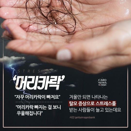 [카드뉴스] “소중한 머리카락 왜 자꾸 빠질까?”... 탈모 원인 및 치료법? 