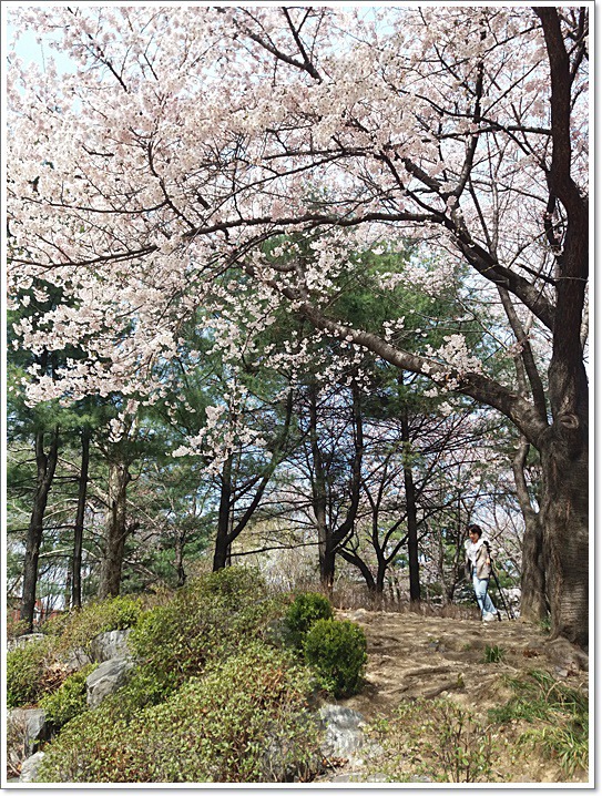 우리동네도 꽃동산