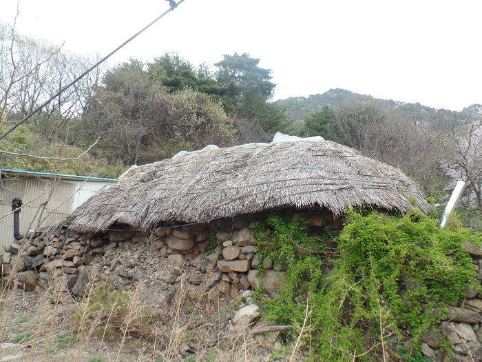 1045- 慶州 南山 고위봉(高位峯:494m)을 다녀왔어요.