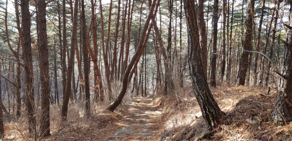 100대명산 무주 적상산 