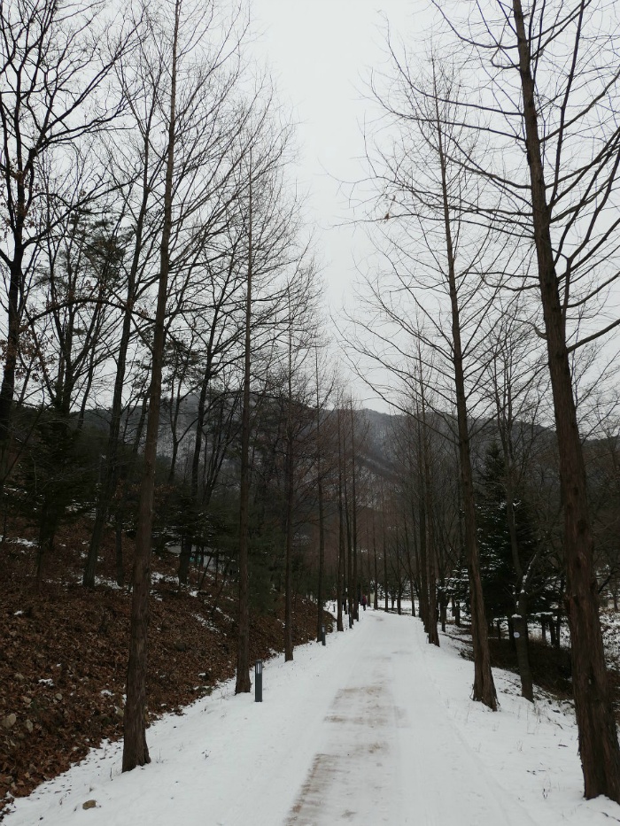 선암골 이미지