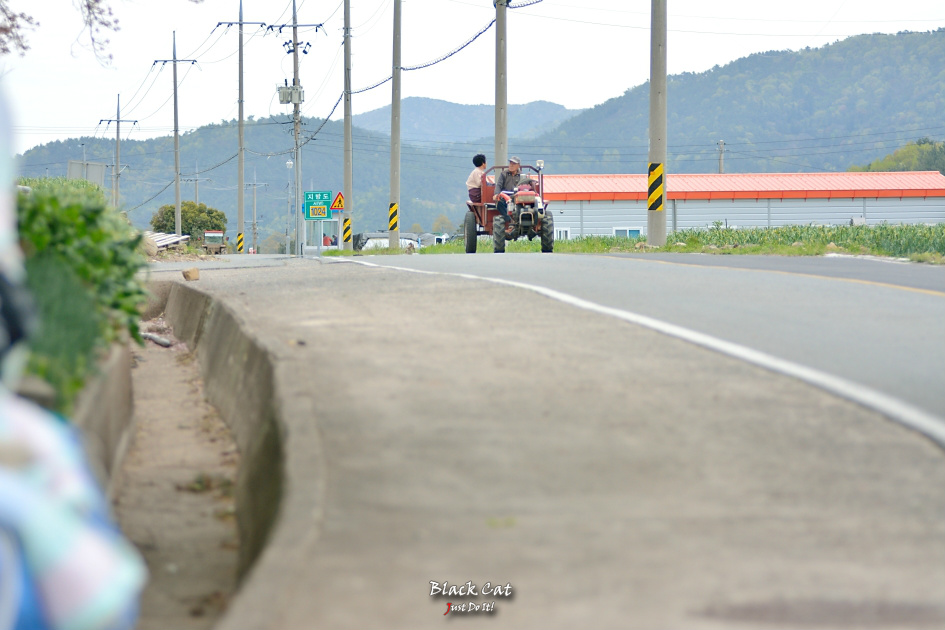 공감대(It's OK-54)-경남남해 대경대학교연수원