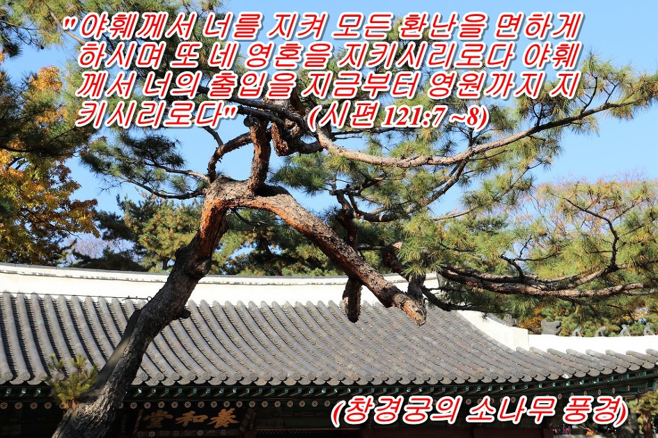 <시편 121장 7절 ~ 8절 말씀>