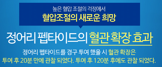 높은 혈압 "리턴큐"가 다스린다.