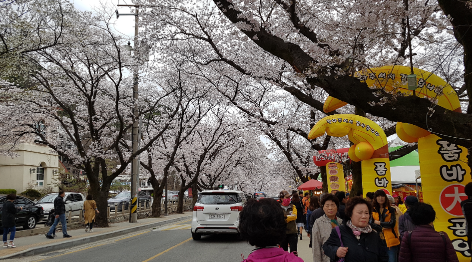 鷄龍山 東鶴寺