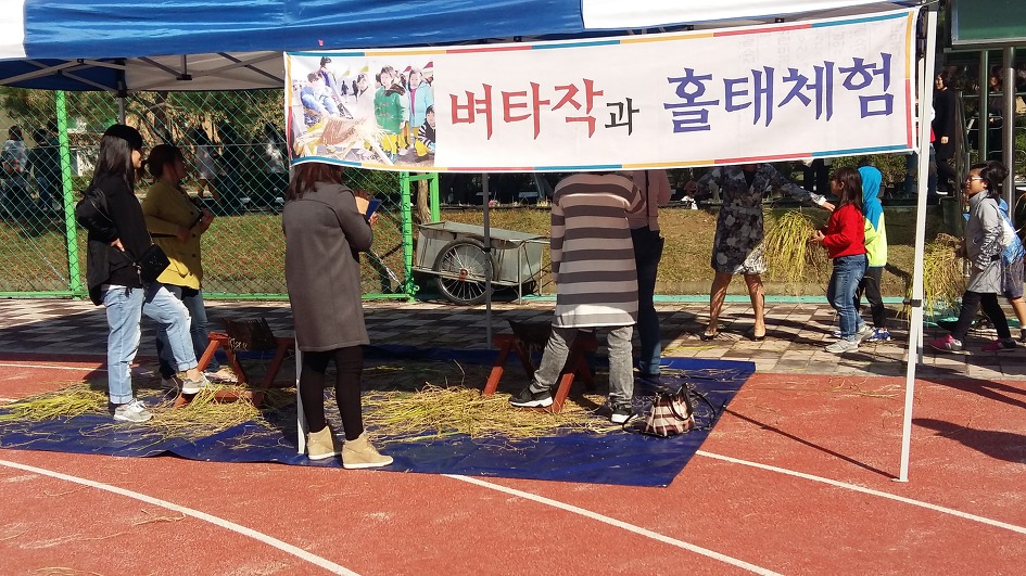 벼농사 수확 체험