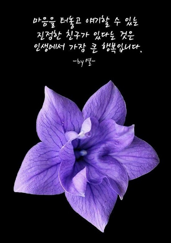 술.친구 이미지