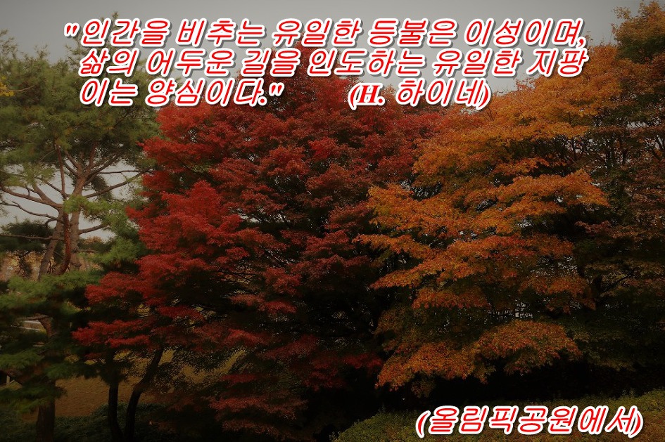 <H. 하이네 말 하기를> 