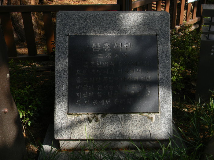 시흥동 탑골에 숨겨진 오래된 향나무와 3층석탑 (시흥동3층석탑)