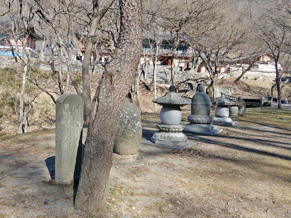월아산자락 이미지