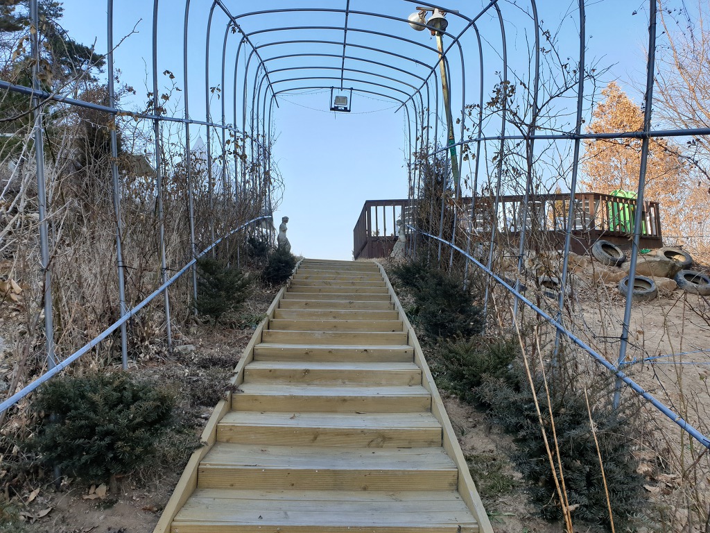 갤러리 사진