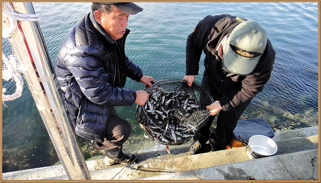 133D9A3E4EDCC07010042F